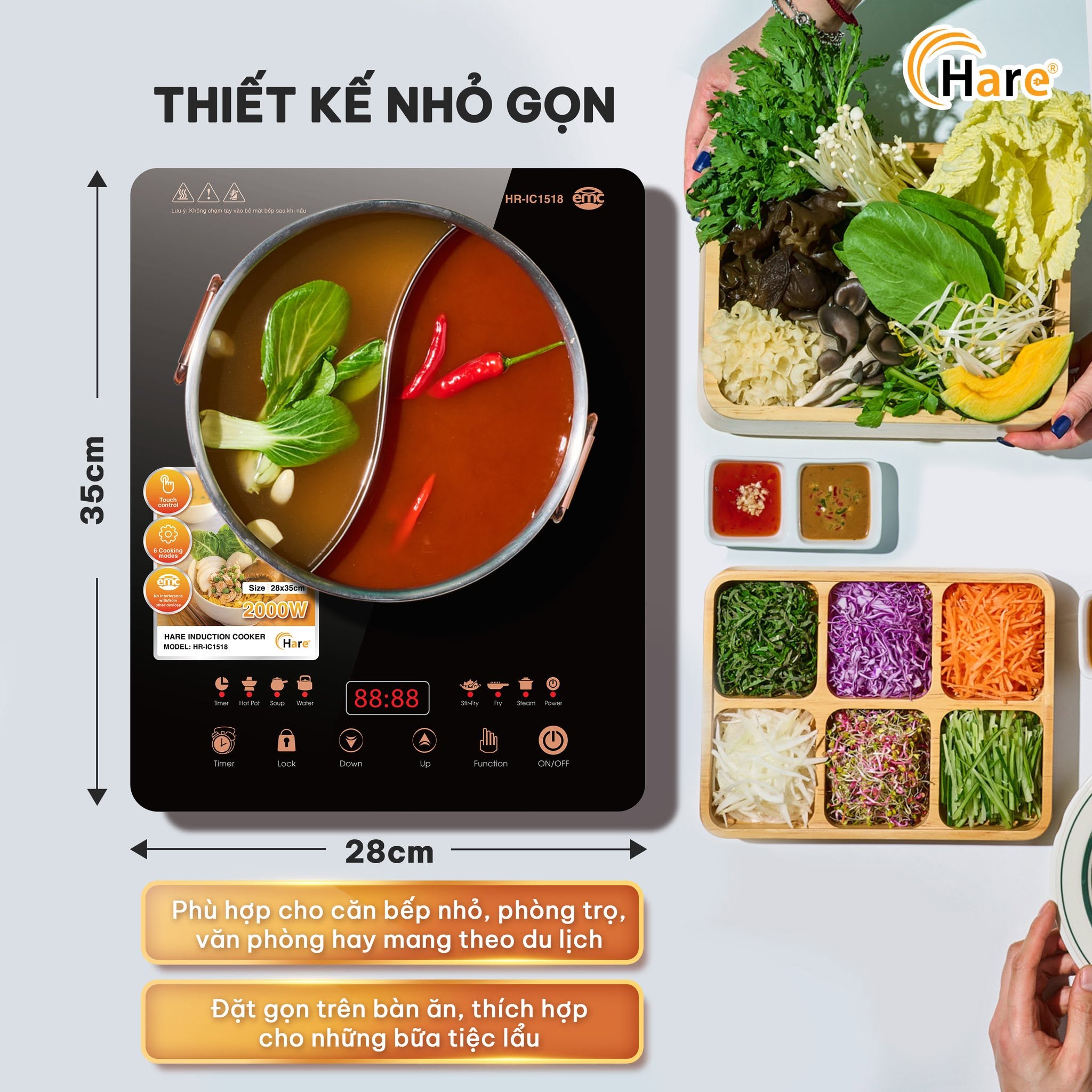 557617072 796256909905235 3407296293078964543 n