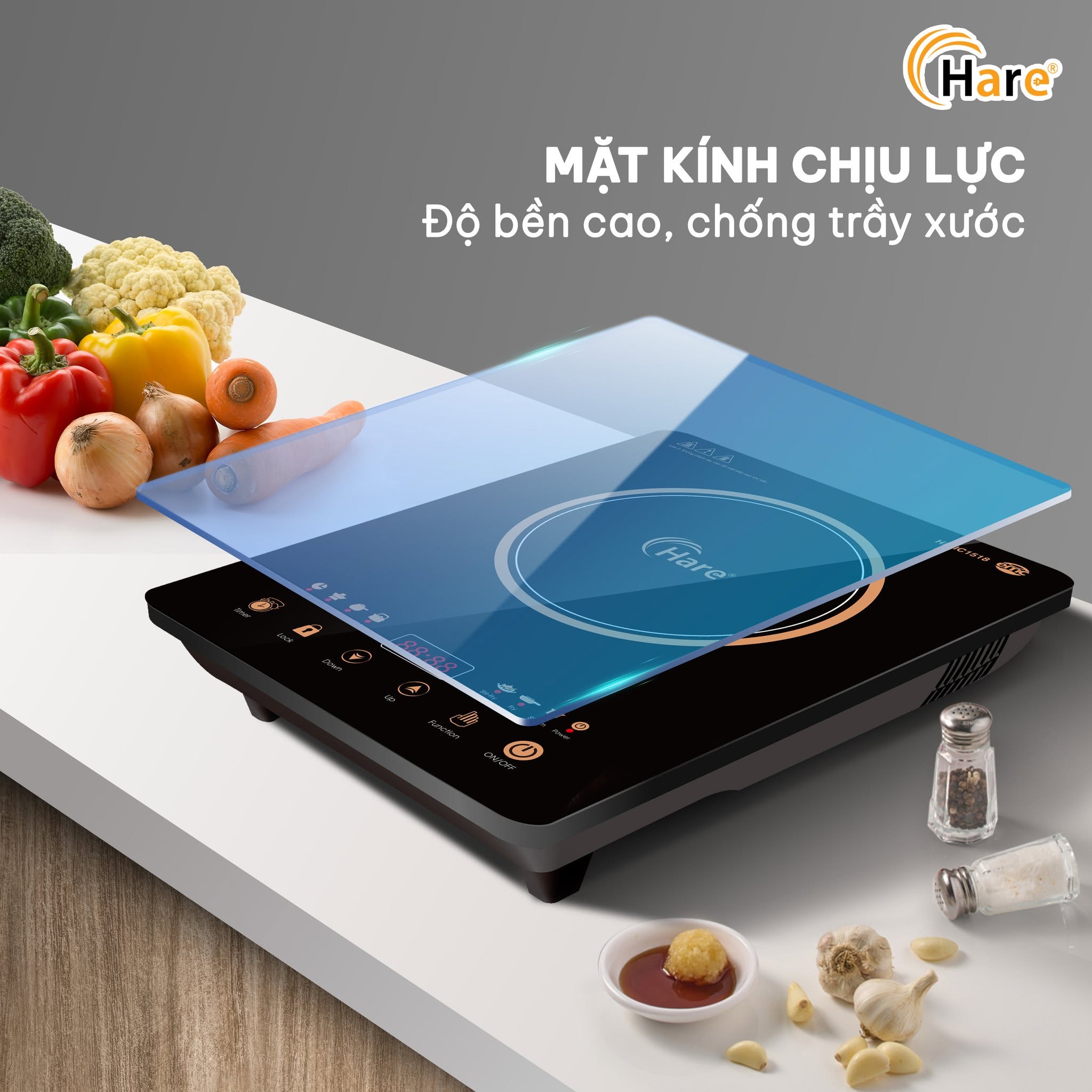 557801234 796256859905240 6236864169446842439 n